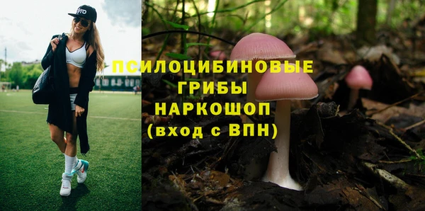 амф Покачи